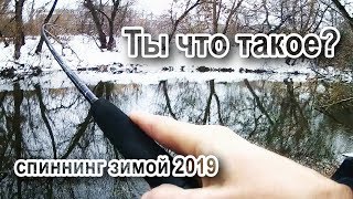 Ты что такое? Спиннинг зимой 2019