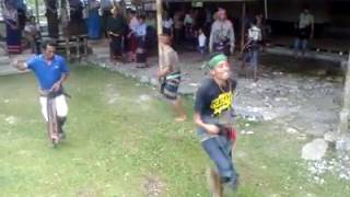 Beginilah acara  perkawinan sumba sangat meria