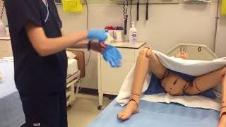 Video submission: Performing Perineal Care on a Female Client