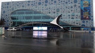 ?Москвариум-НОВОЕ! ВДНХ, Москва. Павильон аквариумов на ВДНХ.