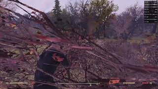 Fallout 76 graphics bug (ryzen 2600, rx 580 8gb, 8gb ram)