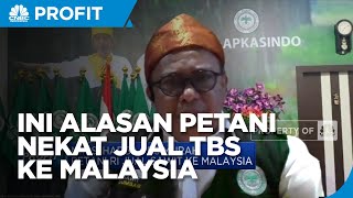 Angkat Harga TBS Sawit, Petani Minta Relaksasi Kebijakan DMO & DPO
