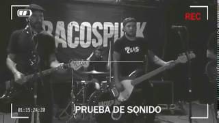 PUNK NOT DEAD TOUR 2017 - BACOSPUNK GIRA EUROPEA - MINI DOCUMENTAL