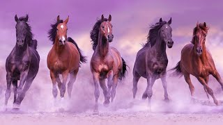 Miracle Healing Energy | 528Hz Ancient Frequency | Mindfulness Meditation | Soothing Energy