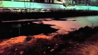 대전 번화가 바로 옆 시냇가 괴생물체 발견( I found something...lol)