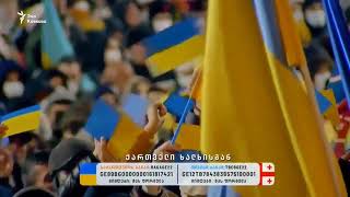 Тбилиси: многотысячный митинг в поддержку Украины