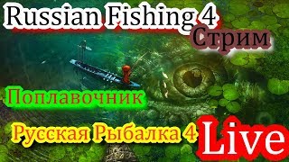 18+ == Русская Рыбалка 4 = Поплавочная Ловля на Махи   = Стрим == № 33  (2)  Эхе хе....... Ппц