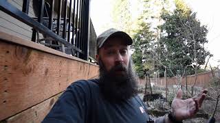 Update for backyard early-spring 2019 garden planting