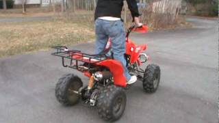 gio Beast 200cc atv
