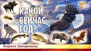 Какой сейчас год? Кирилл Запорожец