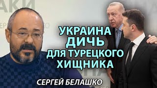 Турция и ЕС – хищники, для которых Украина экономическая добыча. Сергей Белашко