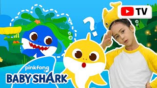 [4K] Where is Daddy Shark? | Kids Choreography | Dance Along 