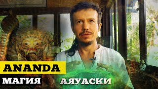 Аяваска (Аяуаска) Это? - МЕДИЦИНА ИЛИ ЗАВИСИМОСТЬ? / Растения Учителя