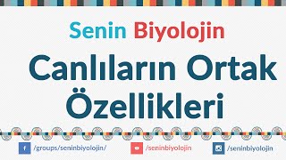 YGS - Canlıların Ortak Özellikleri Konu Anlatımı (Güncellendi)