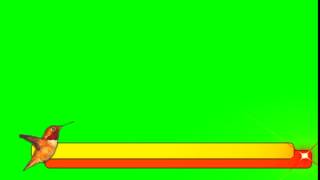 BANNER CON COLIBRIE EN CROMA BY: ASVIDEO