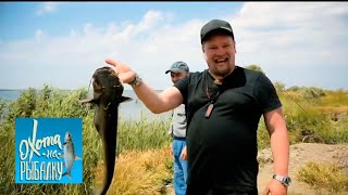 Сом и сазан. "Охота на рыбалку" с Вилле Хаапасало ? Моя Планета