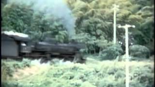 蒸気機関車若松機関区のC55(SL)