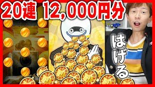 【サマーニャンボガシャ】SS確定 ニャンボコイン２２連！ぷにぷに 妖怪ウォッチ SSS 極ツチノコ Cブシニャン 太陽神エンマ