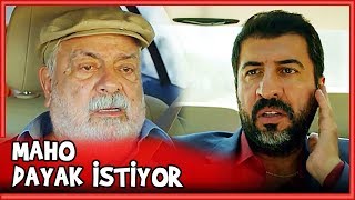 Maho'nun Canı DAYAK İstiyor - Küçük Ağa 26.Bölüm
