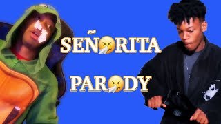 SEÑORITA PARODY - I GOT A FEVER | Kidrl ||