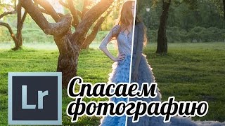Lightroom: Спасаем фотографию. Фотография против света. Съемка на закате.