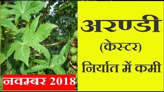 अरण्डी (केस्टर) निर्यात में कमी के हालात | Castor Seed export 2018 |
