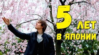5 лет в Японии. Как изменилась моя жизнь