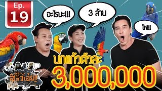 นกแก้วตัวละ 3 ล้าน [ สวนปาล์ม ฟาร์มนก ] - เพื่อนรักสัตว์เอ๊ย l EP.19