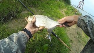 Рыбалка на Фидер Ловлю Рыбу на Фидерную Оснастку (Фидер Видео) / Feeder Fishing – MF №76