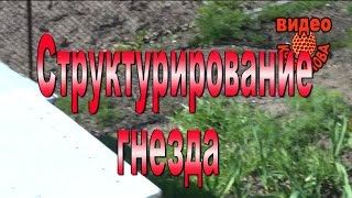 Структурирование гнезда