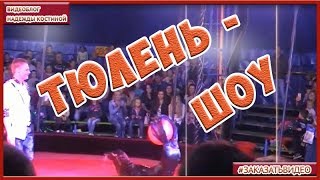Тюлень - шоу | Морской котик на арене цирка_ часть2