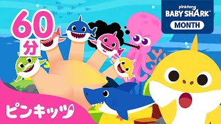 ベイビーシャークと歌おう シリーズまとめ | Shark Month????スペシャル | サメのかぞく | ゆびあそび、パパザメ　どこかな？、サメのお巡りさん 他 | ピンキッツ・ベイビーシャーク