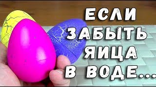 ОНИ УТОНУЛИ - ЯИЦА СЮРПРИЗ ФИКСПРАЙС С ИГРУШКОЙ