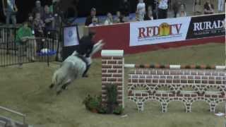 The International - Jumping Horse Show