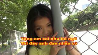 Nhẫn cỏ trao em - Trường Vũ Karaoke