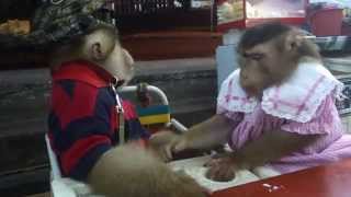 Beutiful couple