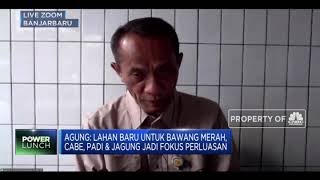 4 Strategi Pemerintah Dorong Pemerataan Cadangan Pangan