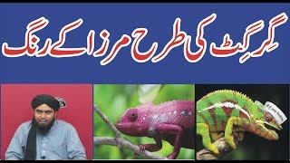 394-Girgit ki Tarah Engineer Mirza rang badlta hy.review by ALI NAWAZ ONLINE