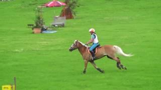 Anne Neuburger - Winzerkönig 2 - Haflinger L - Olachgut 2016