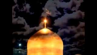 Əli Fani - Ya Imam Rza Movlam