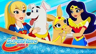 Teaser Trailer | 409 Pets Peeved Part 1 | DC Super Hero Girls