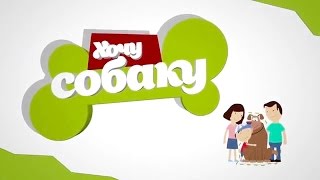 Заставка телеканала Карусель "Хочу собаку"