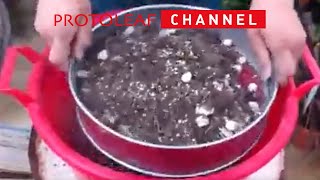 古い土の再生方法 その1