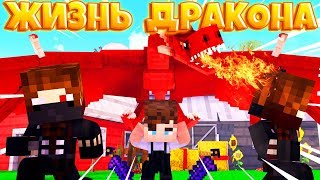 ЖИЗНЬ ДРАКОНА В МАЙНКРАФТ #3 ДРАКОН СПАС ОТ РАЗБОЙНИКОВ!