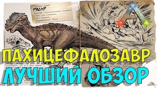 Пахицефалозавр (Pachycephalosaurus) в АРК. Лучший обзор: приручение, разведение и способности  в ark