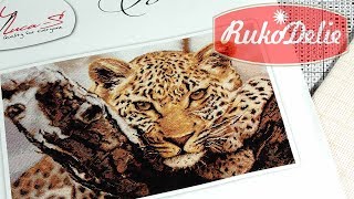 Обзор вышивки крестиком Леопард ? Набор Лука-С
