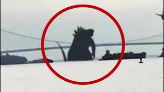 10 Giant Creatures Caught On Camera! 2017
