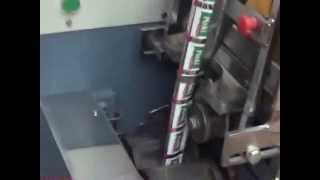Mouth Freshener/Gutkha Packing Machine (STAR PACKAGING SYSTEMS)