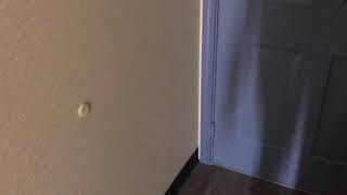 Kelly No Panties Naked Shadow -Mexican Gang Bang