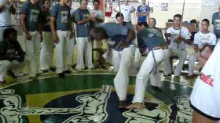 MOV04376